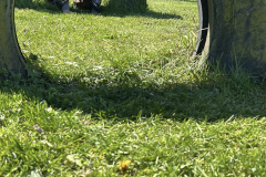 IMG_5347