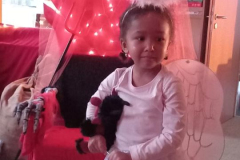 0d7f6f59-e326-4408-83b8-18c167e047c6