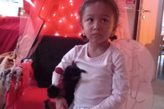 9a5dbe4d-9fb0-4505-8781-007b25b366de