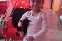 b928aadb-9482-4c9b-8e28-df7348121c95