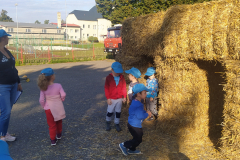 IMG_20230915_085308